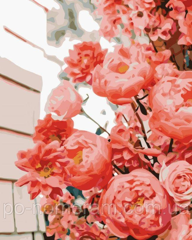 Акційна Картина за номерами Strateg Чудові троянди (SR-SS-6596) 30 х 40 см, фото 1