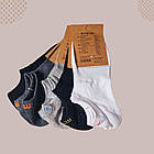 Шкарпетки жіночі спорт ТМ Aura.via р.35-38 38-41