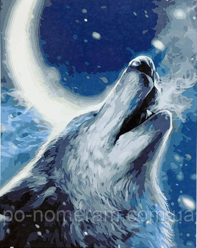 Акційна Картина за номерами Strateg Голос вовка (SR-SY6923) 40 х 50 см, фото 1