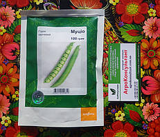 Насіння гороху Муціо (Syngenta), 100 грам — середньостиглий (65-67 днів), овочевий