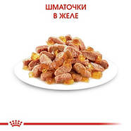 Royal Canin Instinctive (Роял Канін Інстінктів) в желе для котів 12х85 грам, фото 2