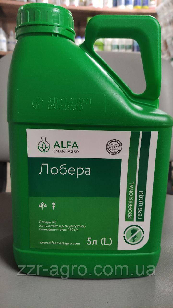 Гербіцид Лобера 5 л