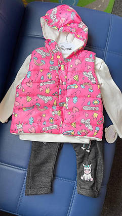 Комплект Жилетка Кофта Штани (9-12м.) (YOLA.BABY.SHOP), фото 3