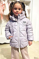 Куртка демісезонна в сірому кольорі для дівчинки (110 см)  Nestta 2125000801728