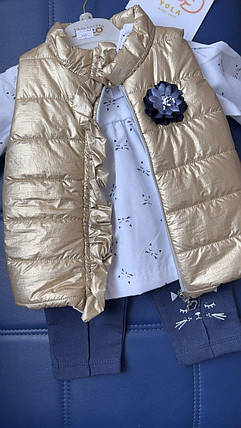 Комплект Жилетка Кофта Штани (9-12м.) (YOLA.BABY.SHOP), фото 1