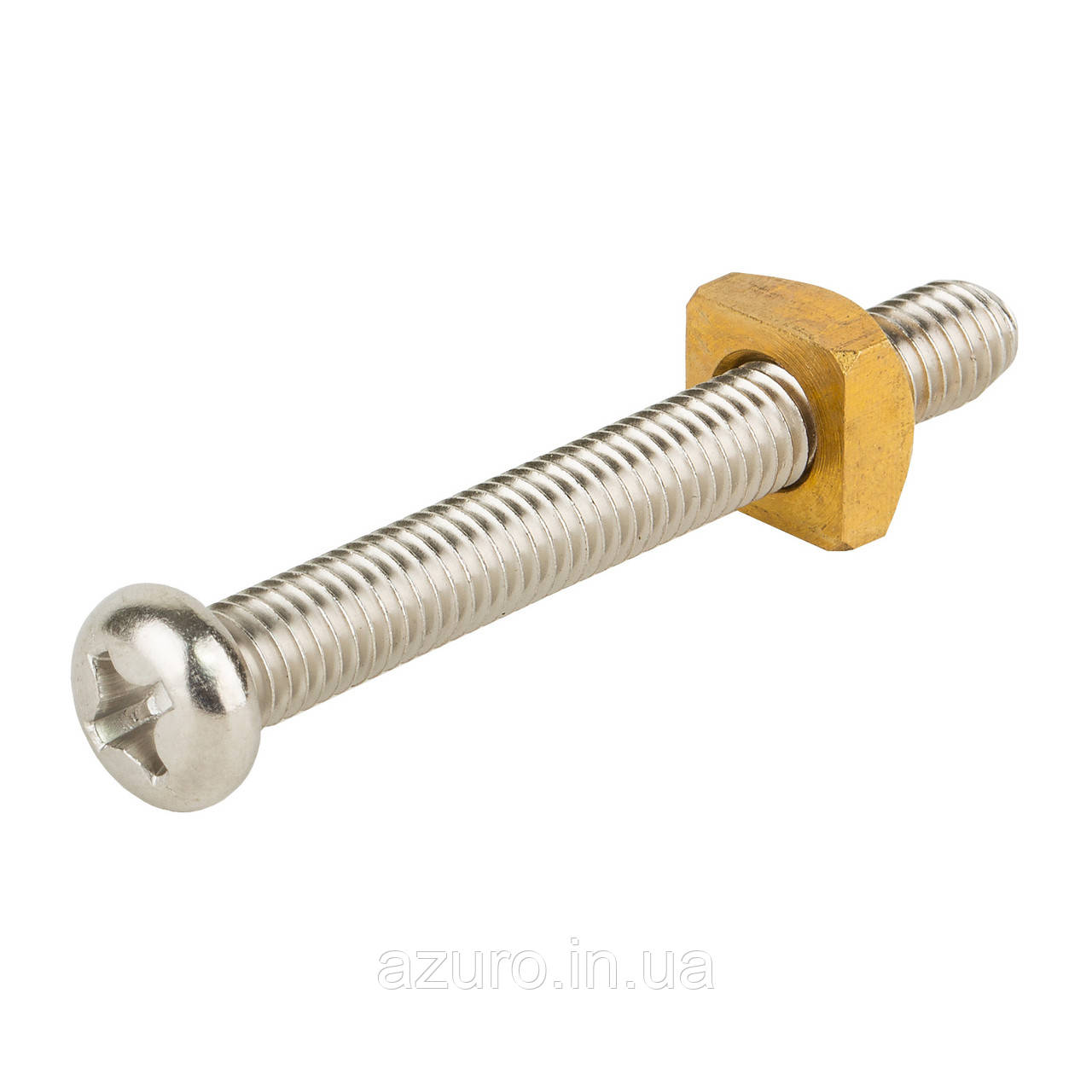 Emaux Гвинт із гайкою M6*50 хомута Emaux для ST 89010119