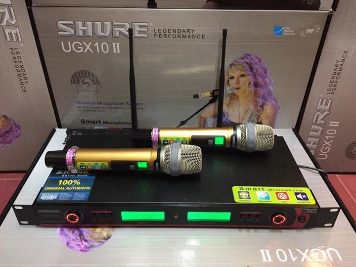 Мікрофон DM UG-X10 II Shure