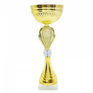 Кубок ДТ2 — 222 футбол