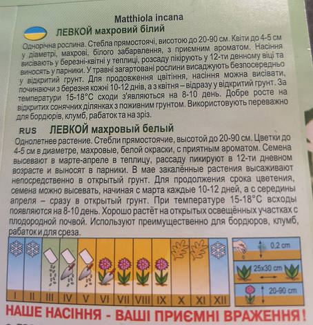 Левкой махровий білий 0,1г, фото 3