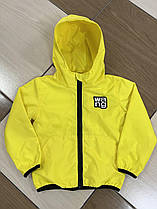 Дитяча вітровка унісекс на трикотажній підкладці р 92-116 жовта
