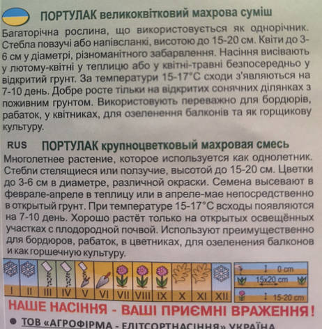 Портулак великоквіткова махрова суміш 0,1г, фото 3