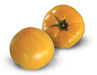 Насіння томату жовтого KS 10 F1 КС 10 (Ямамото) 500 шт Kitano Seeds / Кітано Сідс