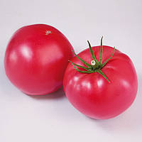 Розовый томат KS 1205 (Финли) 1000 сем. Kitano Seeds /Китано Сидс
