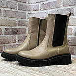 Жіночі шкіряні демісезонні черевики челсі на блискавці, фото 6