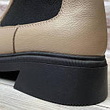 Жіночі шкіряні короткі демісезонні черевики челсі у 37 і 38 розмірі, фото 5