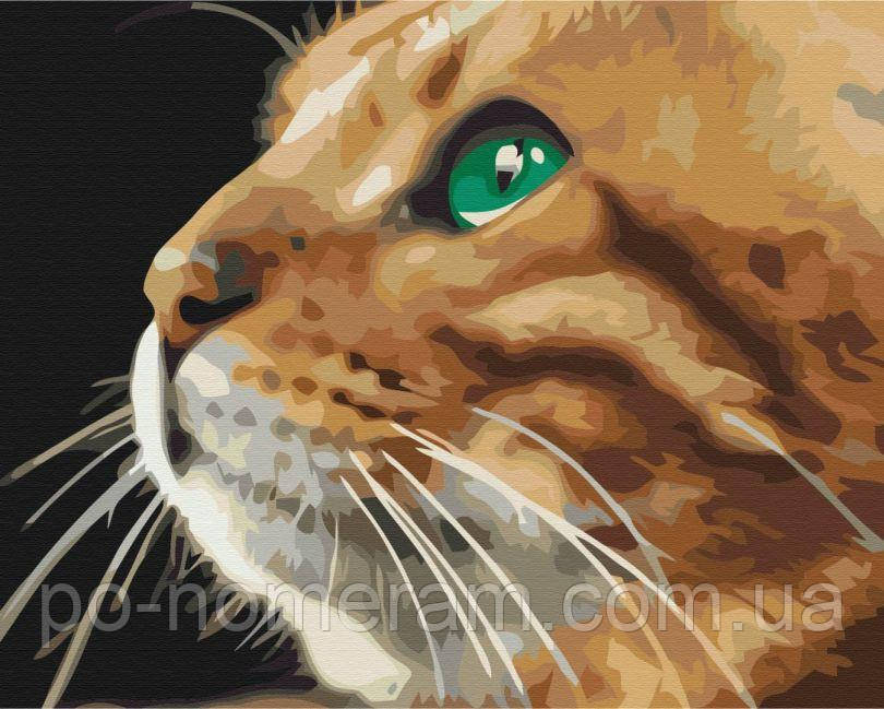 Акційна Картини за номерами BrushMe Погляд рижулі (BS52377) 40 х 50 см, фото 1