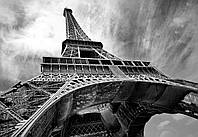 Флизелиновые 3д фотообои в гостиную 416x254 см Черно-белая Эйфелева башня в городе Париж (221VEXXXL) Лучшее