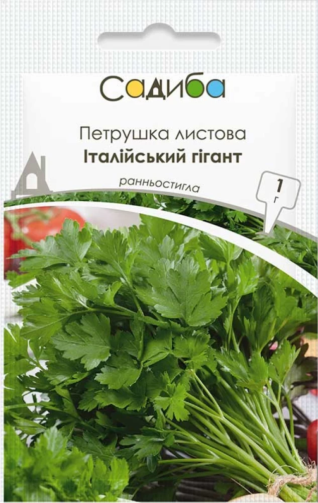 Петрушка листова Італійський гігант 1г.  GSN-Semences, Франція