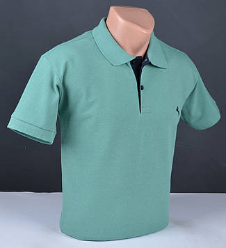 Чоловіча футболка з комірцем ПОЛО світло-зелена Туреччина 2037