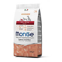 Monge Dog Adult Mini Сухий корм з лососем та рисом для дорослих собак дрібних порід 7,5 кг