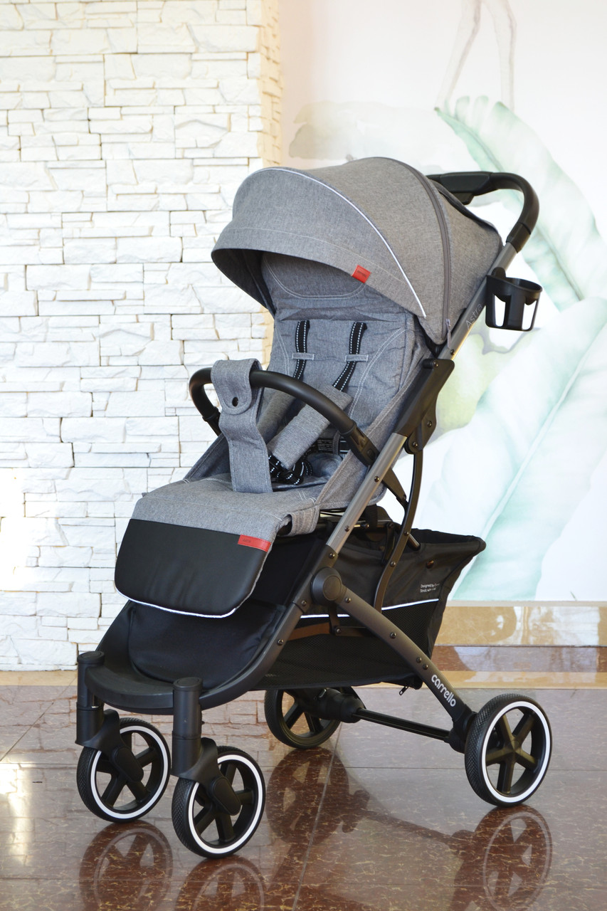 Прогулянкова коляска Carrello Astra CRL-5505/1 Астра, Dolphin Grey