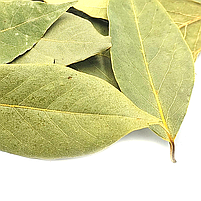 Лавровий лист 50 г, фото 2