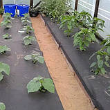 Агроволокно 50 г/м2 в рулоні 1,07 х 100 м Shadow (Чехія) 4% Термоізоляційні настили для рослин, фото 8