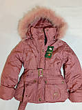 Куртка під пояс рожева пудрова легка весняна дитяча для дівчинки 5  6 років, фото 2