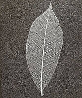 Скелетон листья (Skeleton leaf), 36 шт