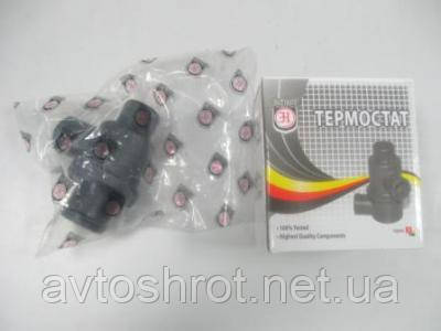 Термостат Sens HORT HT002