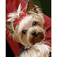 Картина за номерами Песик з хвостиком Набір для малювання на полотні з лаком та рівнем Собака 40х50 см Strateg Преміум VA-3429