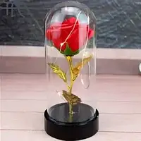 Лаконічна троянда в скленому футлярі слід підсвіткою, вічна троянда в колбі з підсвіткою Маленька A5-4 Червона