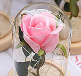 Вічна троянда в скляній колбі з підсвічуванням, гарна троянда лід з підсвічуванням Маленька A-54 Рожева, фото 3