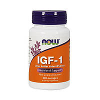 IGF-1 (30 lozenges)