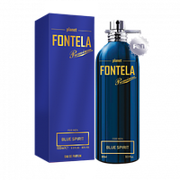Чоловіча парфумована вода Fontela EDP BLUE SPIRIT, 100 мл