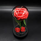 Троянда в колбі 20см з LED підсвічуванням, Червона / Квітка-нічник вічна троянда / Троянда в колбі на дерев'яній підставці, фото 6