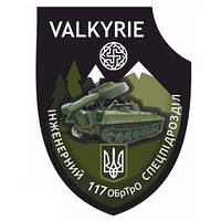 Шеврон VALKYRIE спецподразделение "117 ОБрТрО" Бригада терробороны Шевроны на заказ на липучке (AN-12-302)