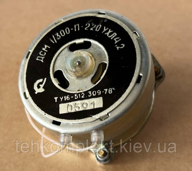 ДСМ 1/300-П-220 УХЛ4.2   електродвигун, фото 1