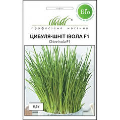 Насіння цибулі шніт Івола F1, 0,5 г УЦІНКА дійсний до 11.23