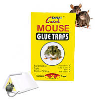 Клейова пастка для мишей "Catch Expert - Mouse glue traps" 2 аркуші, липка мишоловка клейка 13х18 см «Trifle-store»