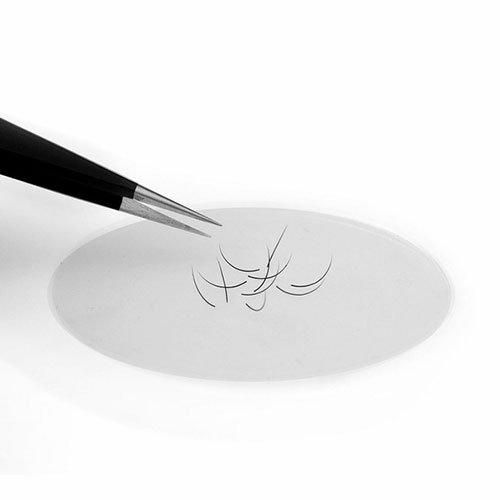 Піднос Kodi, силіконовий