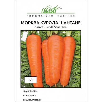 Насіння моркви Курода Шантане, 10 г - ранній (85-90 днів), тип Шантане, United Genetics, фото 1