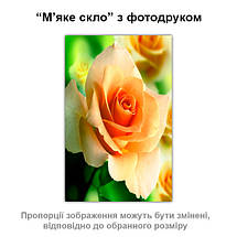 Покриття для столу, м'яке скло з фотодруком, Троянда 60 х 100 см (1,2 мм), фото 3