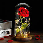 Трояда в колбі з LED підсвічуванням 20 см, Червона / Вічна троянда під куполом / Квітка-нічник у колбі, фото 5