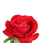 Троянда в колбі з LED підсвіткою 20 см, Червона, на батарейках / Нічник Вічна троянда / Квітка в колбі, фото 4