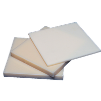 Листовий капролон 10,0мм (1000х2000 мм)