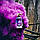 Ручний фіолетовий кольоровий дим середньої насиченості (дим12), 60 сек., Кольоровий Дим, фото 2