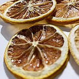 Лимон сушений чіпси кільця 1кг, фото 2