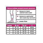 Гольфи чоловічі з помірною компресією, Алком 5051, фото 2