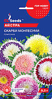 Семена Астра Сокровища Монтесумы (0,3 г) помпонная, For Hobby, TM GL Seeds